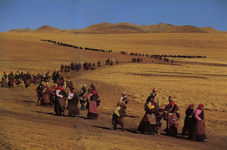 kahve falında at kafası görmek
