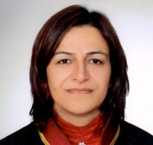 Attorney Ayşe BIÇAK ERTEKİN, Attorney at Law, Ankara Lawyer, Ankara Attorney, Bıçak Law Office