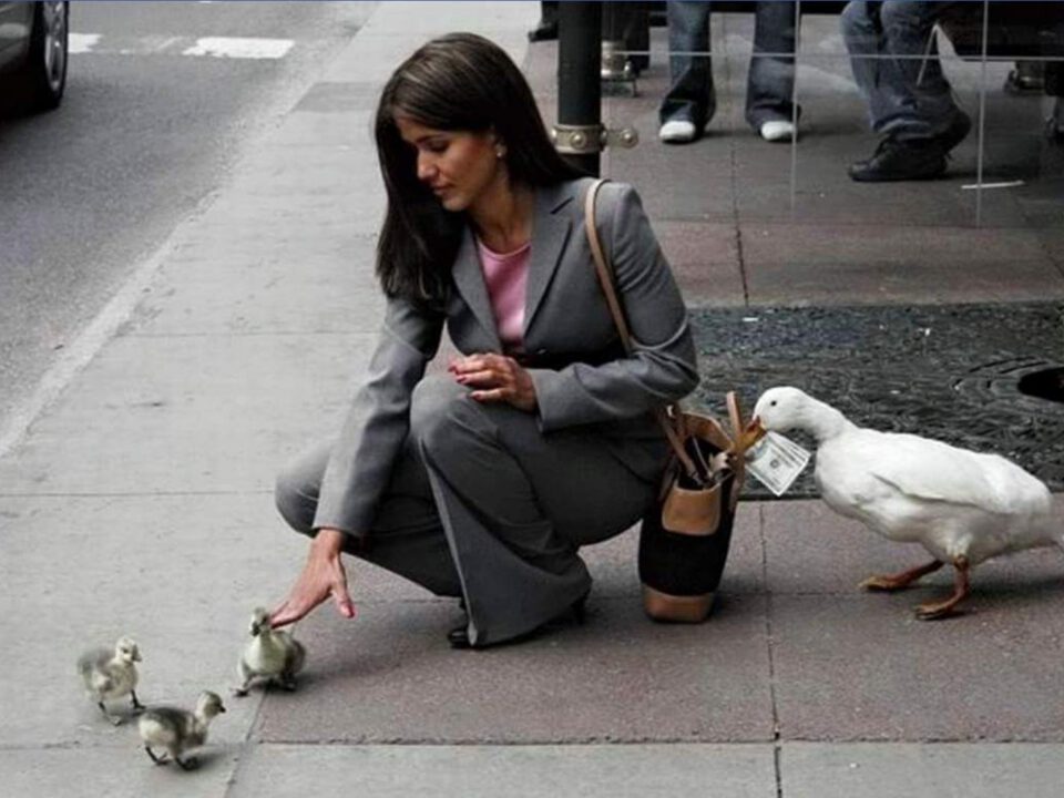 pickpocketing in Turkey