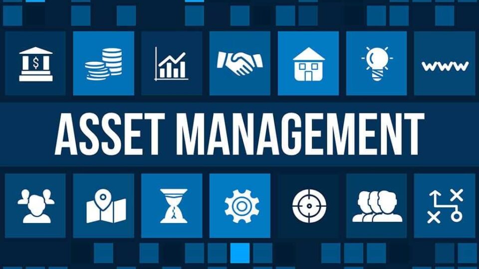 Asset management structuring estate planning risk management investment due diligence intellectual property protection law lawyer attorney