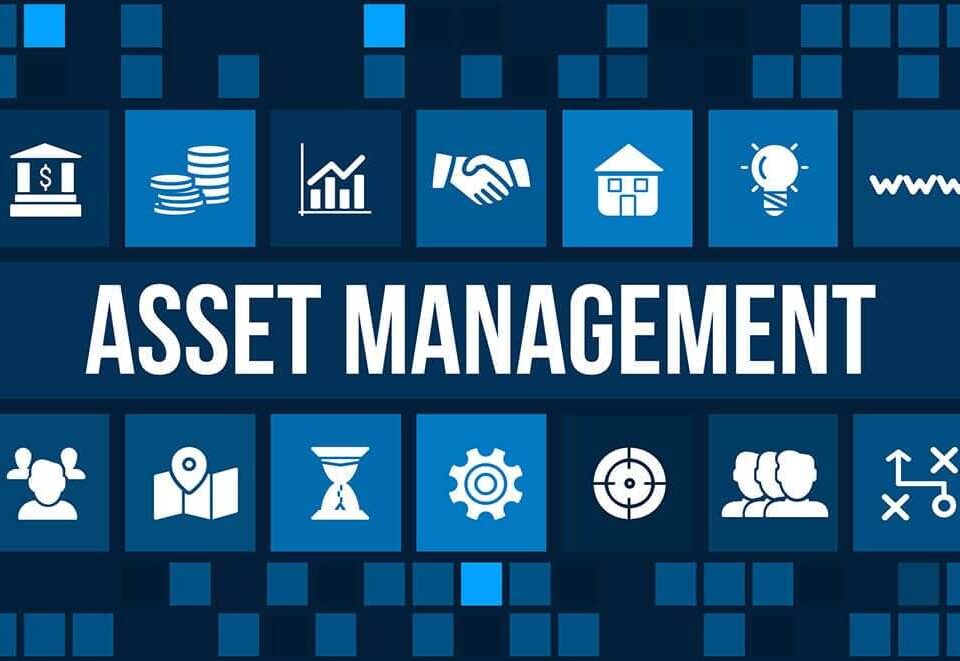 Asset management structuring estate planning risk management investment due diligence intellectual property protection law lawyer attorney