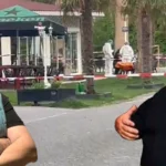 Yolsuzluk Soruşturma Tanık Suikast Güvenlik Ulusal Uluslararası Hukuk Bürosu Avukat can güvenliği organize suç örgütü mafya koruma delil etkin