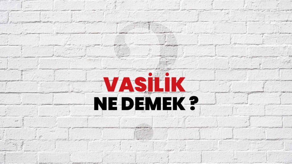 Vesayet Davaları Vasi Atanması tayini Hukuk Bürosu Avukat Avukatlık Türkiye İstanbul Ankara İzmir yetkileri sorumlulukları kısıtlama kısıtlı