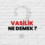 Vesayet Davaları Vasi Atanması tayini Hukuk Bürosu Avukat Avukatlık Türkiye İstanbul Ankara İzmir yetkileri sorumlulukları kısıtlama kısıtlı