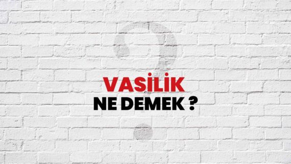 Vesayet Davaları Vasi Atanması tayini Hukuk Bürosu Avukat Avukatlık Türkiye İstanbul Ankara İzmir yetkileri sorumlulukları kısıtlama kısıtlı