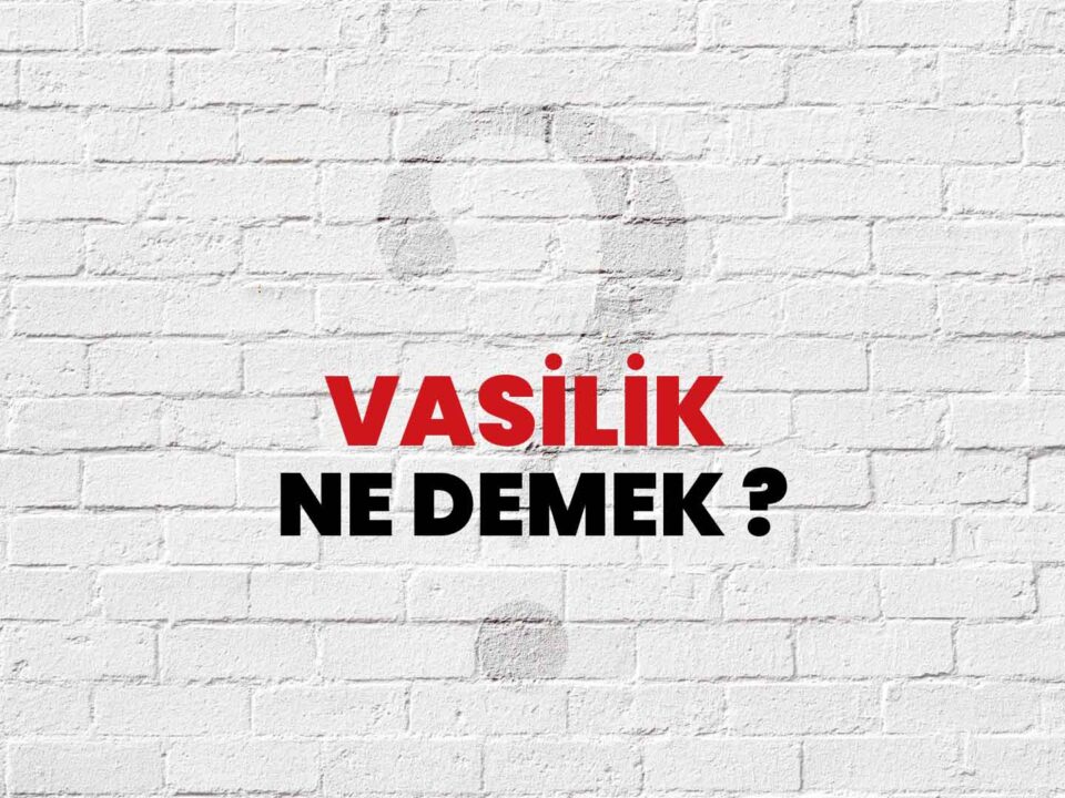 Vesayet Davaları Vasi Atanması tayini Hukuk Bürosu Avukat Avukatlık Türkiye İstanbul Ankara İzmir yetkileri sorumlulukları kısıtlama kısıtlı