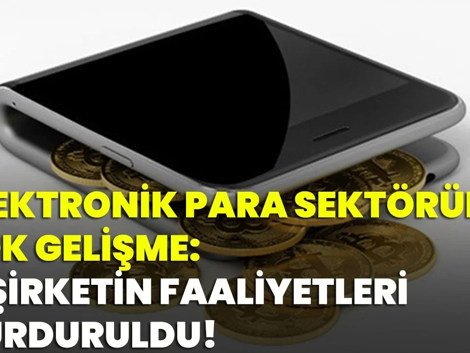 6493 Kanun elektronik para ödeme hizmeti kuruluşu idari para hapis ceza Merkez Bankası fintech hukuk bürosu avukat mali suç cezai sorumluluk