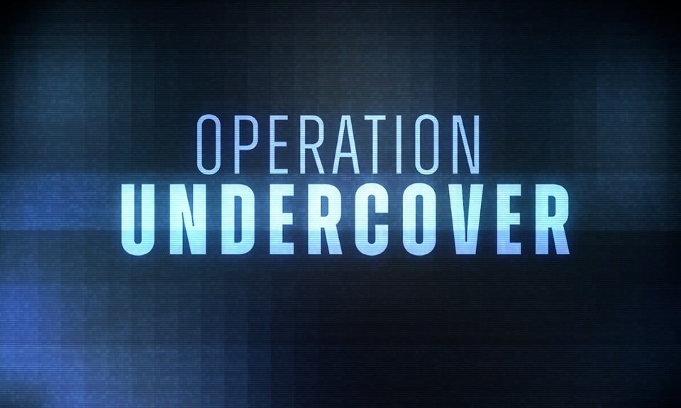 Undercover agent Operations Turkey Legal Perspective Boundaries Practical Realities Law Enforcement Activities Attorney lawyer law entrapment