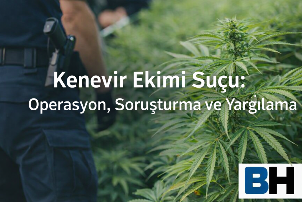 İzinsiz Kenevir Bitkisi Ekimi Suçu Esrar Elde Etme Amacıyla Kişisel İhtiyaç Ayrım Operasyon Soruşturma Yargılama Avukat Hukuk uyuşturucu Büro