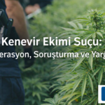 İzinsiz Kenevir Bitkisi Ekimi Suçu Esrar Elde Etme Amacıyla Kişisel İhtiyaç Ayrım Operasyon Soruşturma Yargılama Avukat Hukuk uyuşturucu Büro