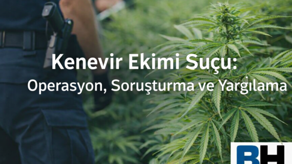 İzinsiz Kenevir Bitkisi Ekimi Suçu Esrar Elde Etme Amacıyla Kişisel İhtiyaç Ayrım Operasyon Soruşturma Yargılama Avukat Hukuk uyuşturucu Büro