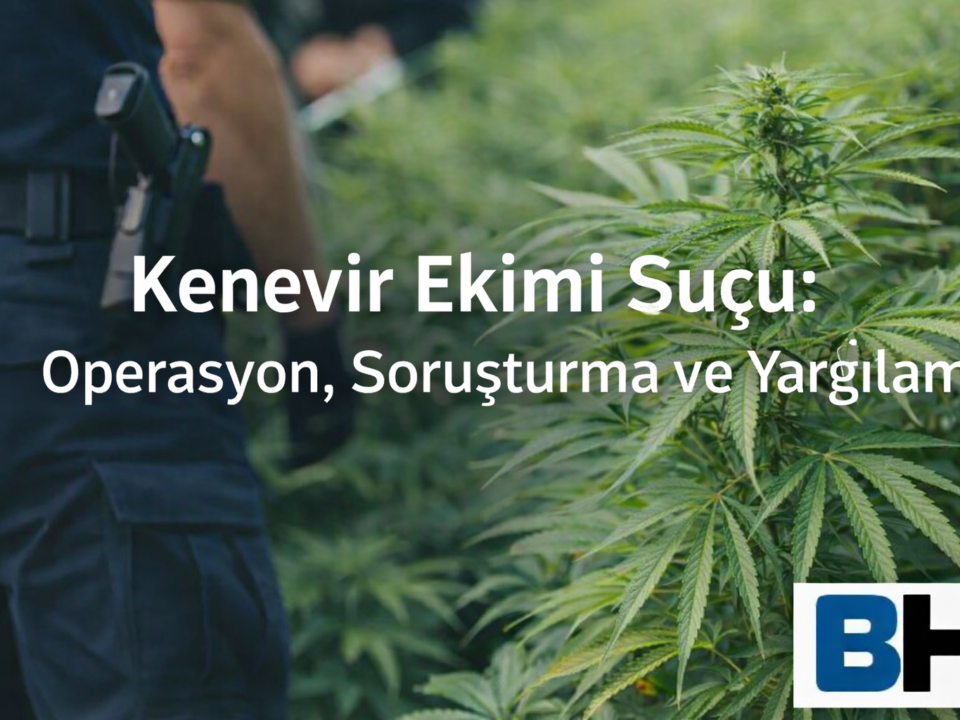 İzinsiz Kenevir Bitkisi Ekimi Suçu Esrar Elde Etme Amacıyla Kişisel İhtiyaç Ayrım Operasyon Soruşturma Yargılama Avukat Hukuk uyuşturucu Büro