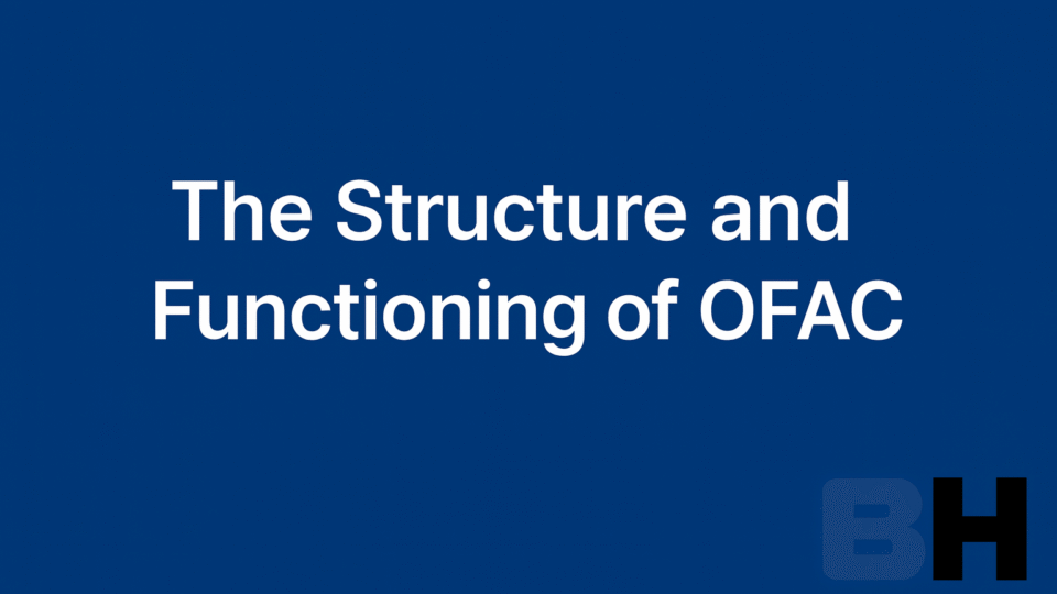 OFAC Institutional Design Operational Practice USA Treasury Sanctions Policy Structure Functioning law firm lawyer attorney consultancy legal