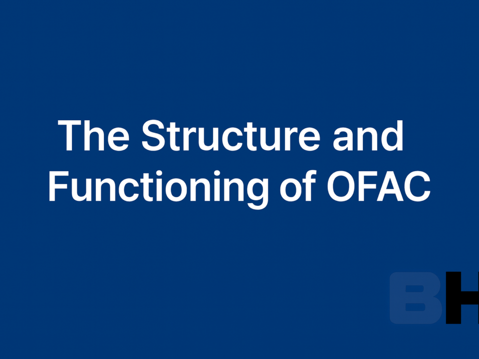OFAC Institutional Design Operational Practice USA Treasury Sanctions Policy Structure Functioning law firm lawyer attorney consultancy legal