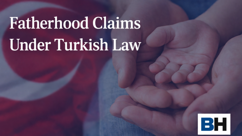 DNA Evidence Legal Procedure Fatherhood Claims Türkiye Turkey Turkish Law Firm Attorney Solicitor Lawyer paternity Civil Code lawsuit family