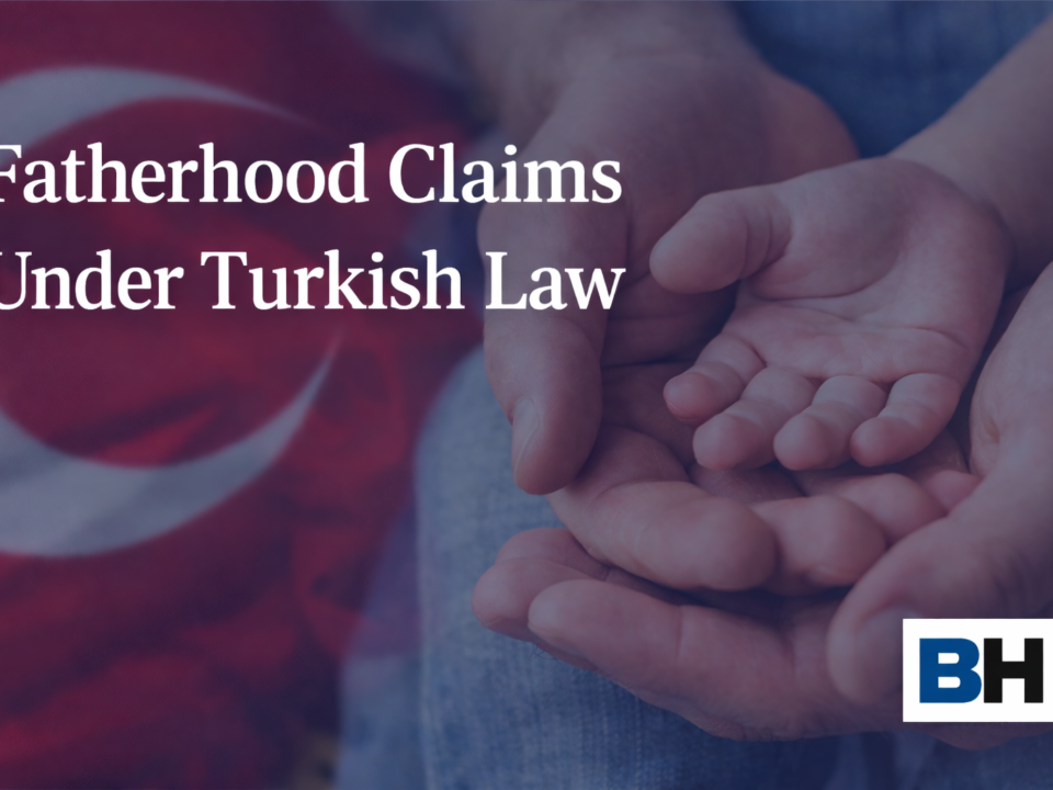DNA Evidence Legal Procedure Fatherhood Claims Türkiye Turkey Turkish Law Firm Attorney Solicitor Lawyer paternity Civil Code lawsuit family
