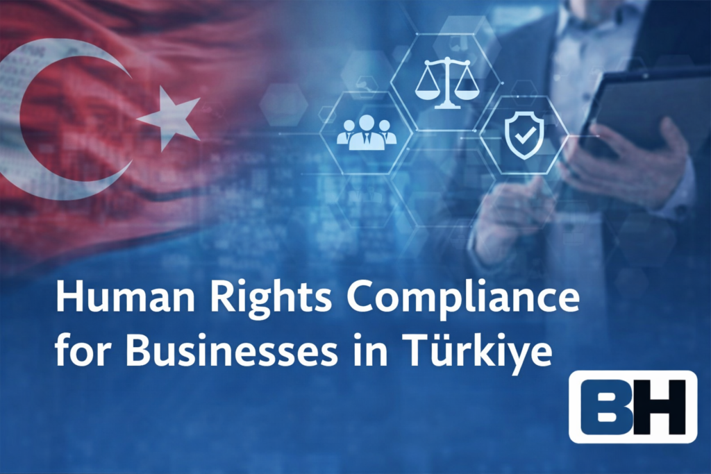 Business Human Rights Türkiye Legal Framework Corporate Due Diligence Governance Accountability Compliance Law Firm Attorney risk management