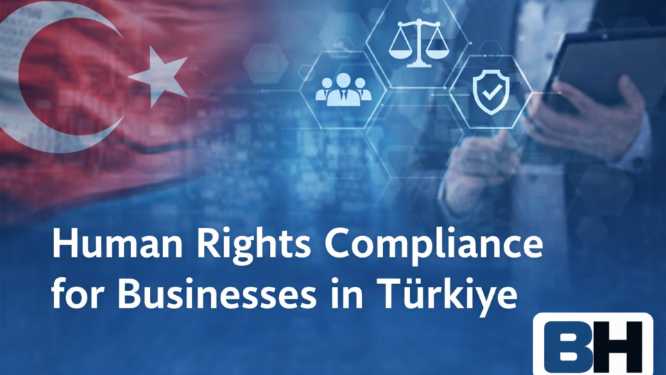 Business Human Rights Türkiye Legal Framework Corporate Due Diligence Governance Accountability Compliance Law Firm Attorney risk management