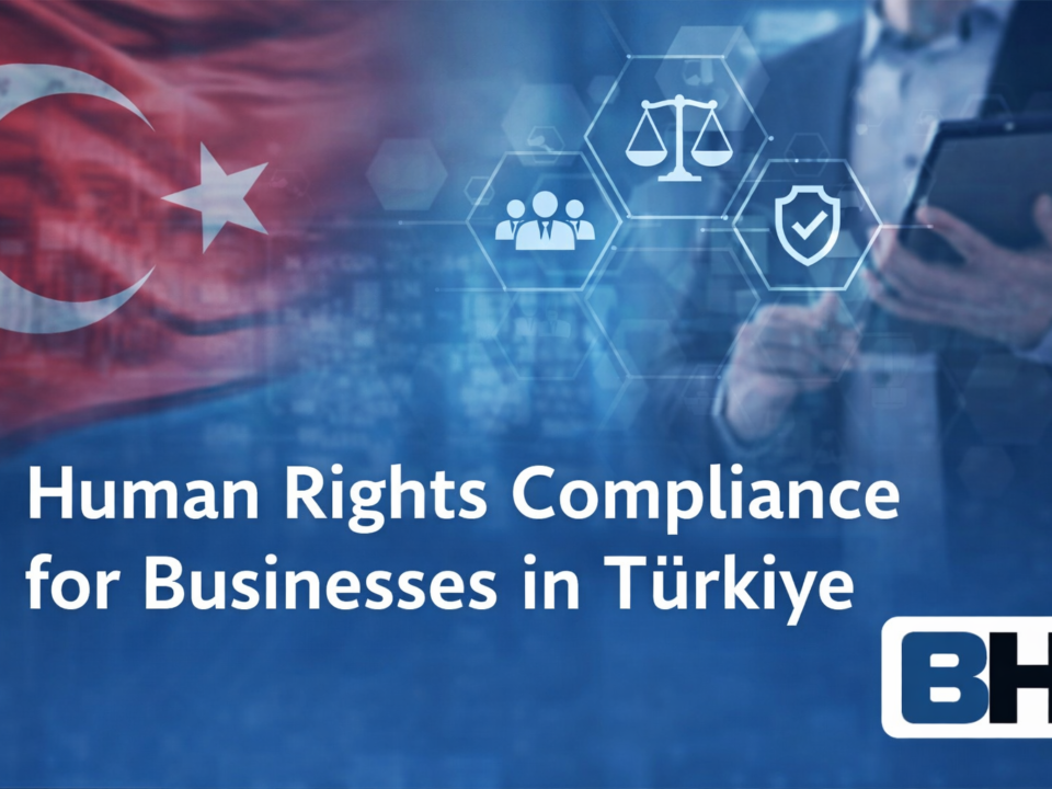 Business Human Rights Türkiye Legal Framework Corporate Due Diligence Governance Accountability Compliance Law Firm Attorney risk management