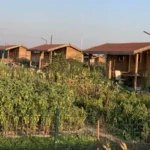 Hobi Bahçeleri 2026 Yeni Yönetmelik Yıkım Riski Ceza Hukuki Değerlendirme Tarım Arazi kural yapılaşma hukuki hukuk bürosu avukat yasak ev suç