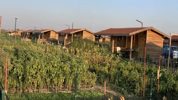 Hobi Bahçeleri 2026 Yeni Yönetmelik Yıkım Riski Ceza Hukuki Değerlendirme Tarım Arazi kural yapılaşma hukuki hukuk bürosu avukat yasak ev suç