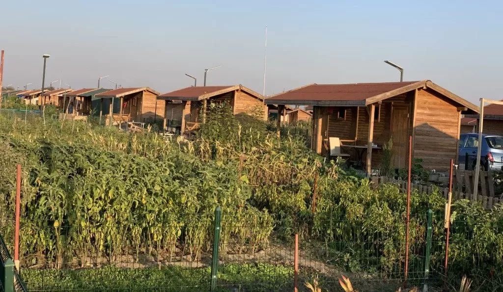 Hobi Bahçeleri 2026 Yeni Yönetmelik Yıkım Riski Ceza Hukuki Değerlendirme Tarım Arazi kural yapılaşma hukuki hukuk bürosu avukat yasak ev suç