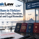 How entry bans in Türkiye work including restriction codes overstay bans G-87 annotated visas administrative appeals court remedies attorney